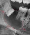 Imagen que contiene interior, perro, pequeño, sostener

El contenido generado por IA puede ser incorrecto.