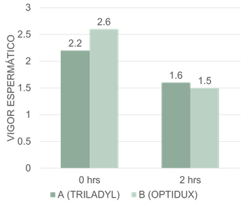 A graph of different sizes and numbers

AI-generated content may be incorrect.