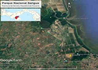 Mapa  El contenido generado por IA puede ser incorrecto.