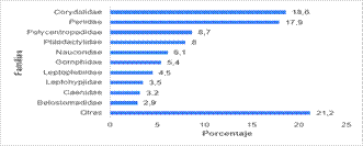 Gráfico, Gráfico de barras El contenido generado por IA puede ser incorrecto.