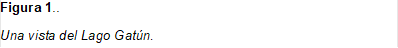 Figura 3.. 
Una vista del Lago Gatún. 

