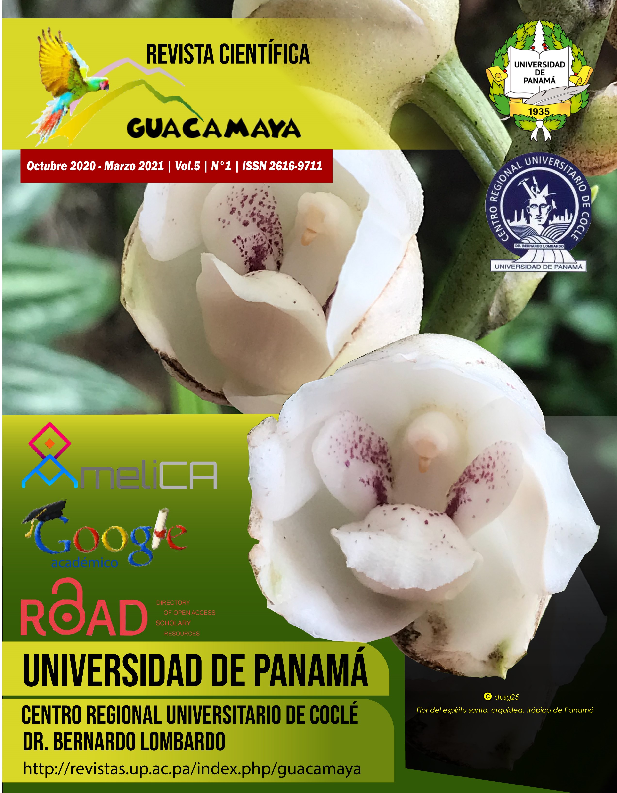 					Ver Vol. 5 Núm. 1 (2020): Guacamaya
				