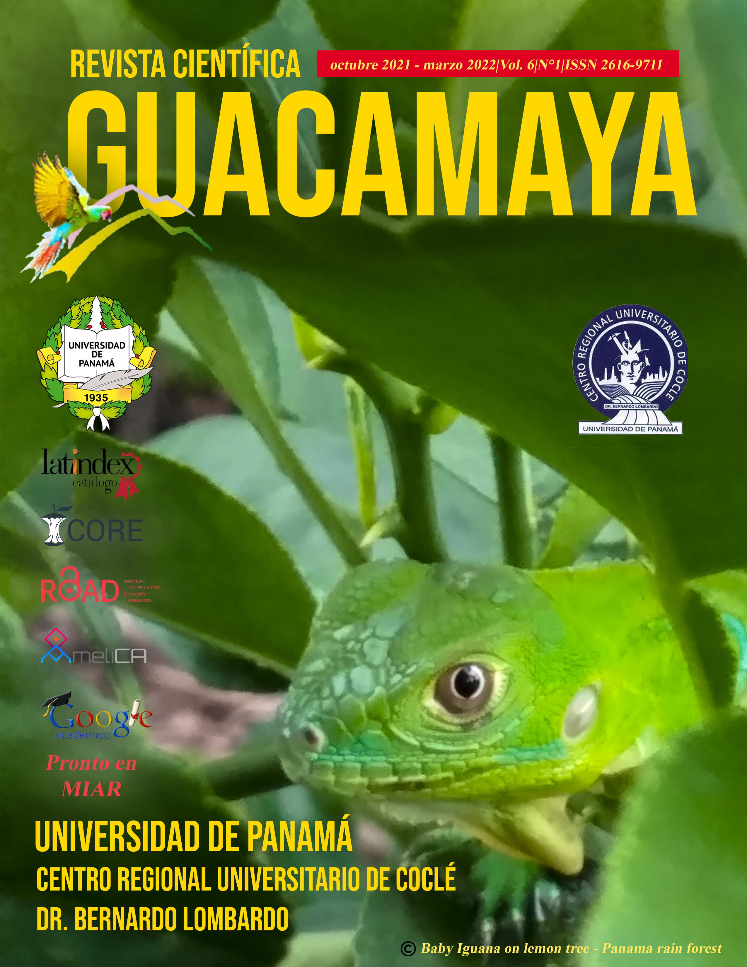 					Ver Vol. 6 Núm. 1 (2021): Guacamaya
				
