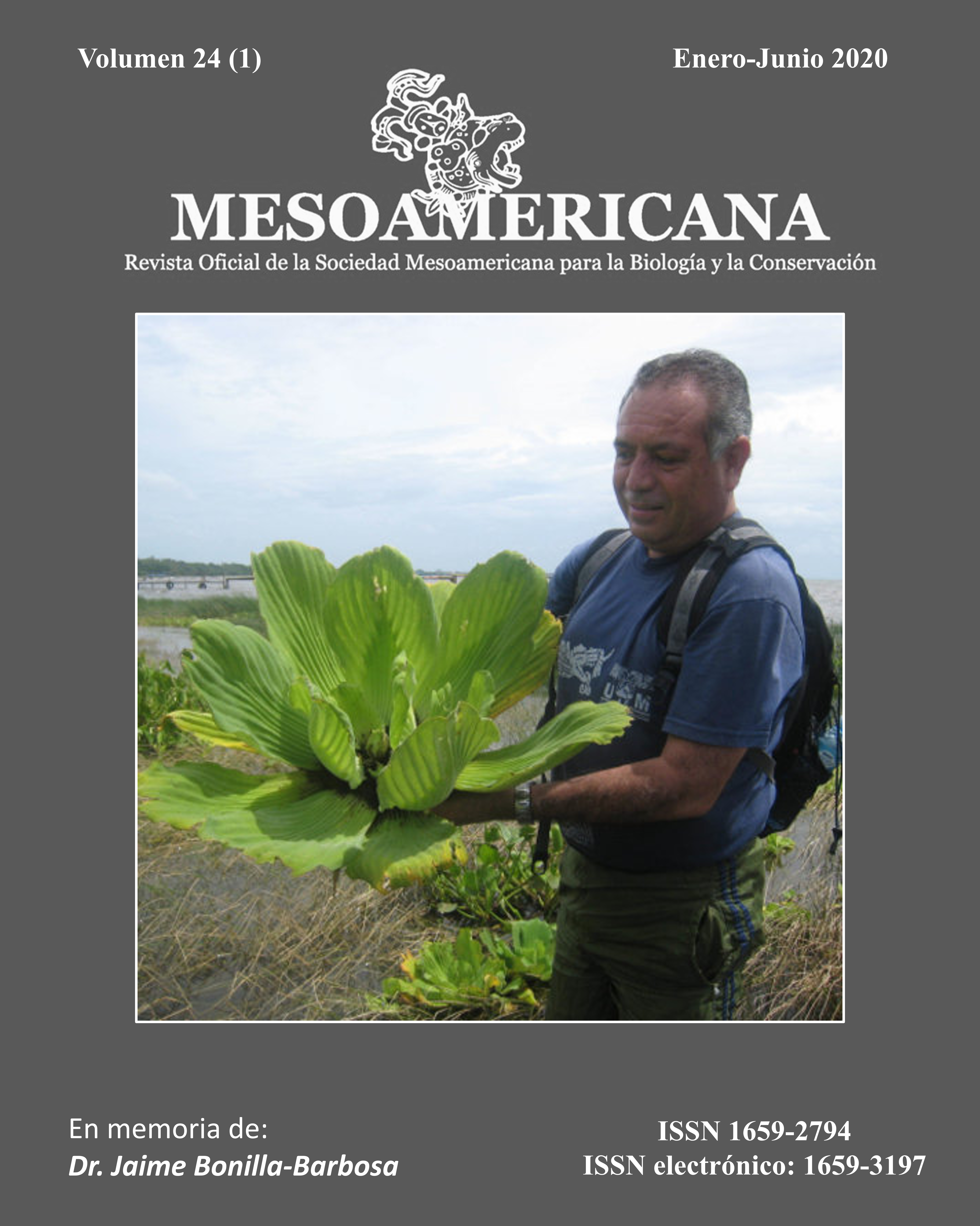 					Ver Vol. 24 Núm. 1 (2020): Mesoamericana
				