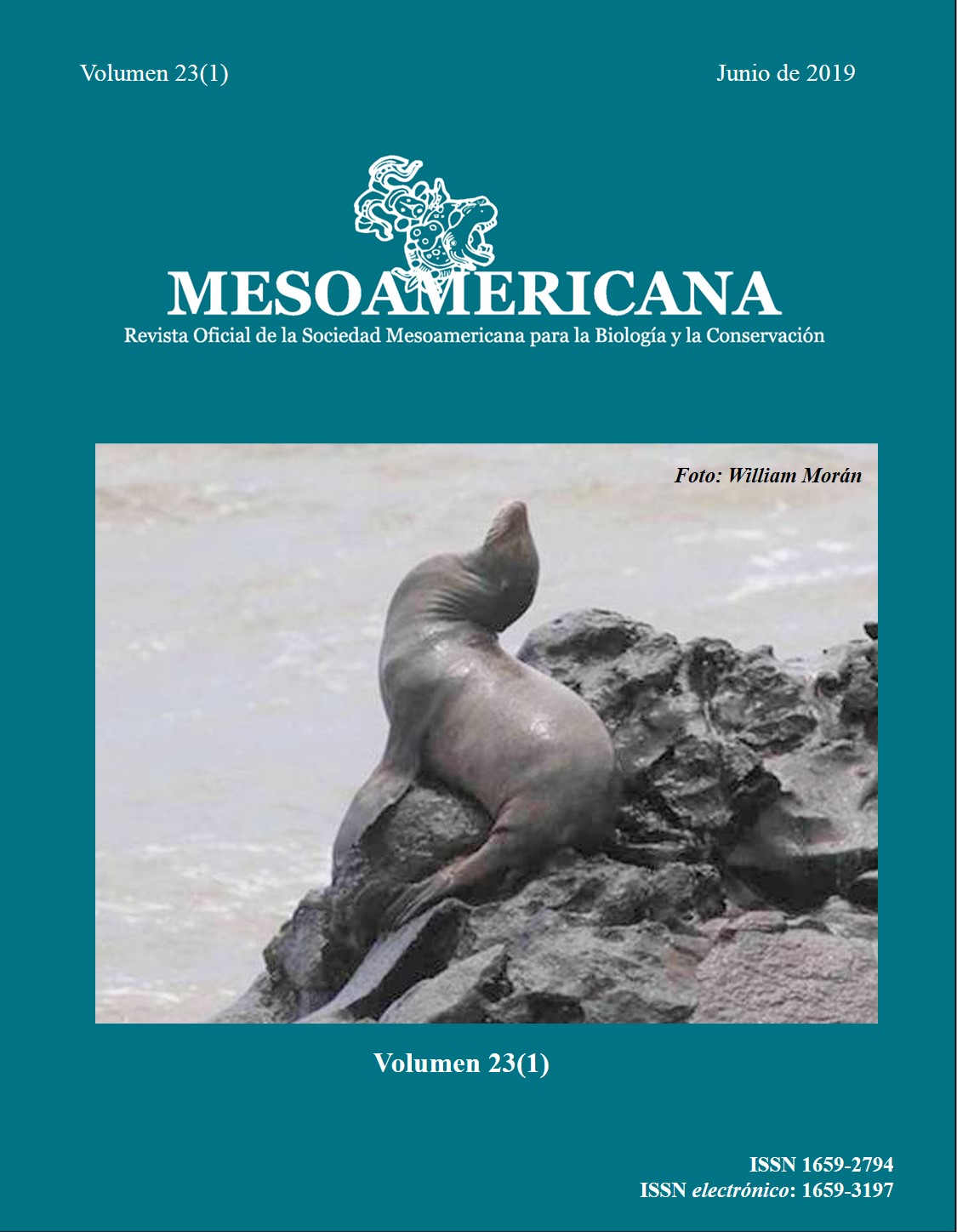 					Ver Vol. 23 Núm. 1 (2019): MESOAMERICANA
				
