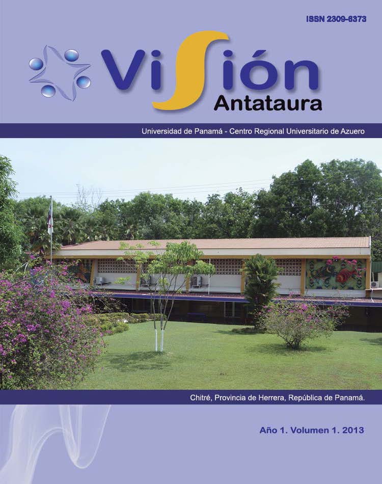 Vol. 1 Núm. 1 (2013): Visión Antataura